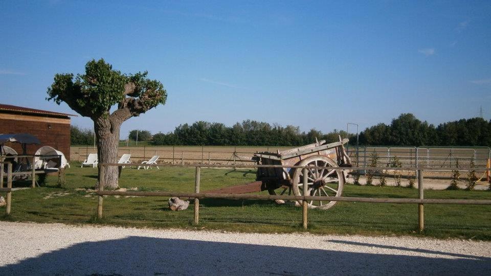 Pensjonat Conero Ranch Porto Recanati Zewnętrze zdjęcie