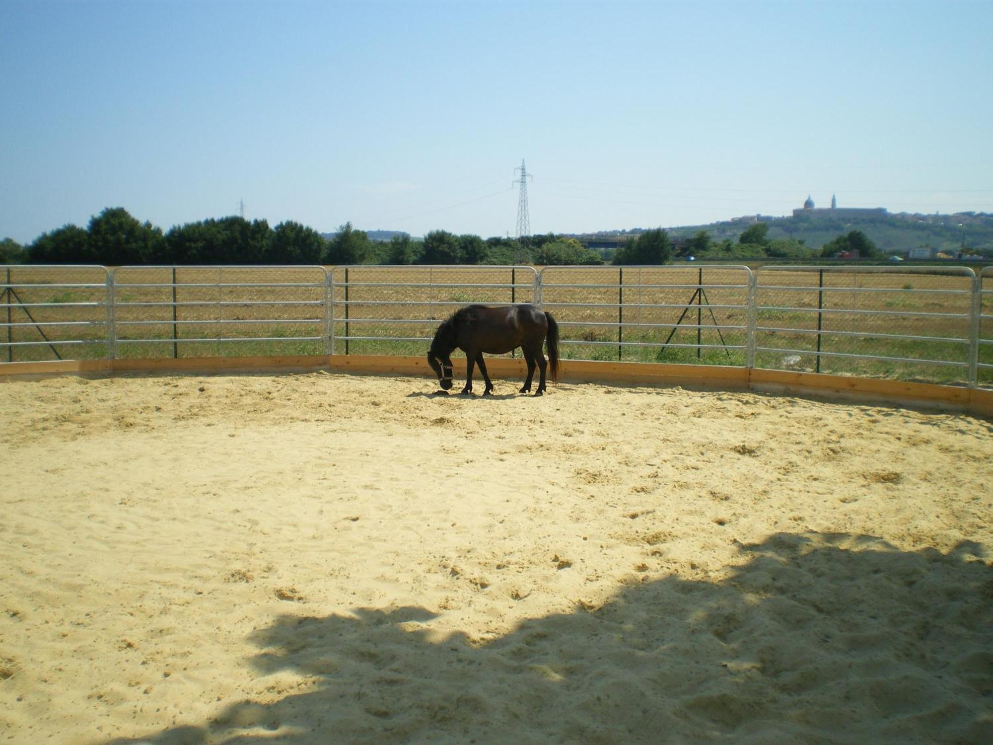 Pensjonat Conero Ranch Porto Recanati Zewnętrze zdjęcie