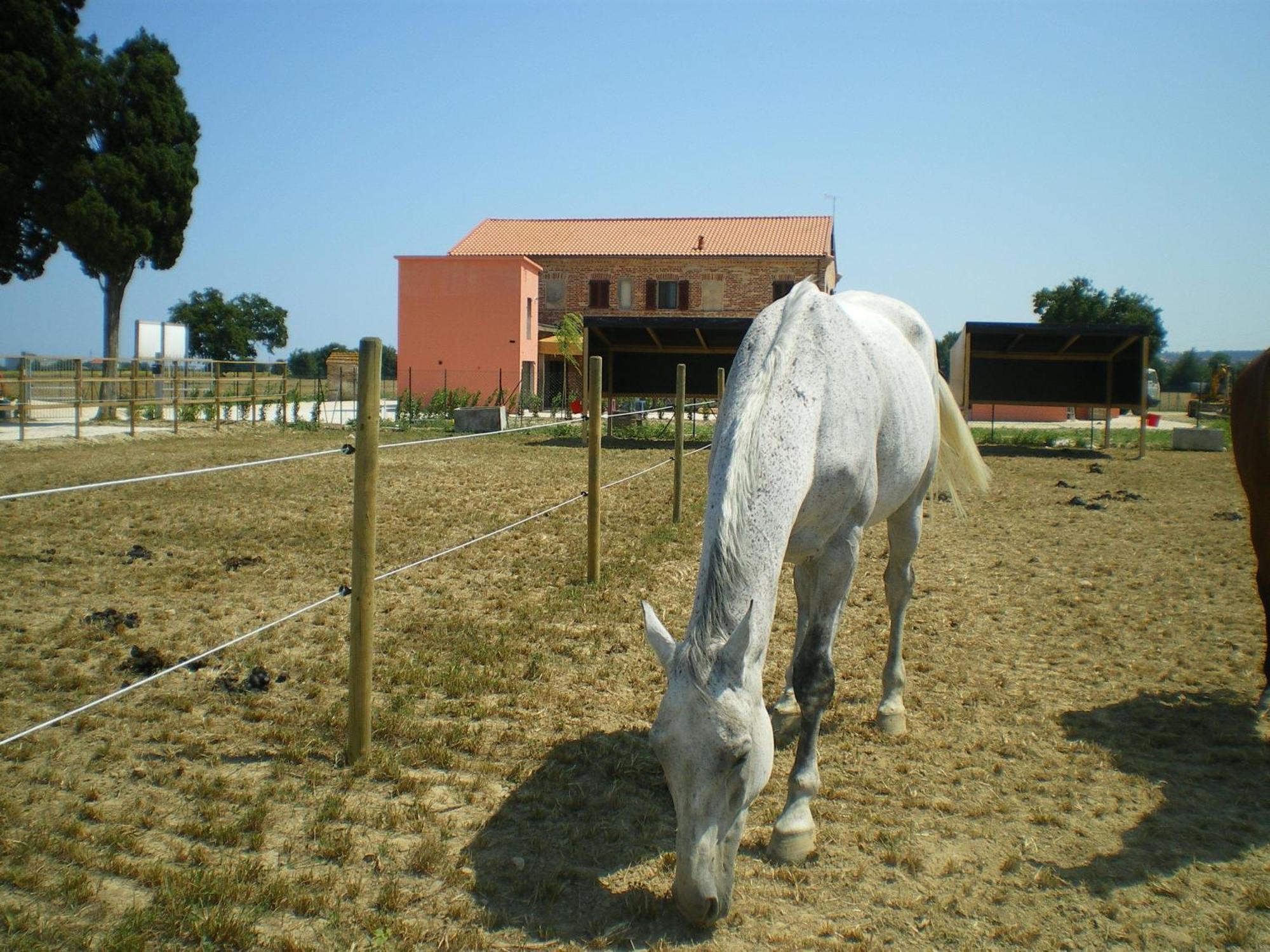 Pensjonat Conero Ranch Porto Recanati Zewnętrze zdjęcie