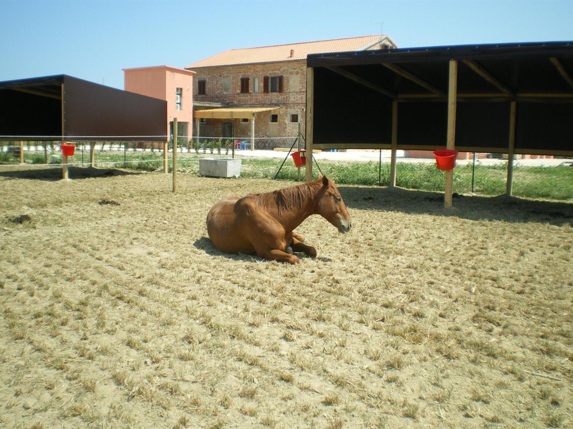 Pensjonat Conero Ranch Porto Recanati Zewnętrze zdjęcie