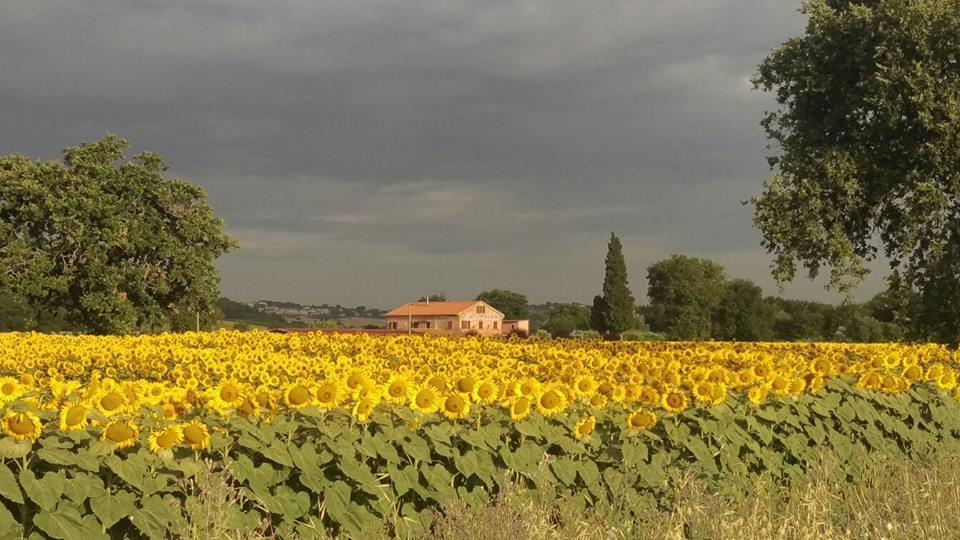Pensjonat Conero Ranch Porto Recanati Zewnętrze zdjęcie